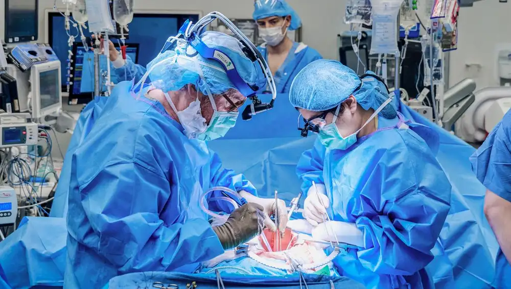 Trasplante de riñón de cerdo modificado genéticamente con timo el 12 de abril de 2024, en el Pabellón Kimmel de NYU Langone Health