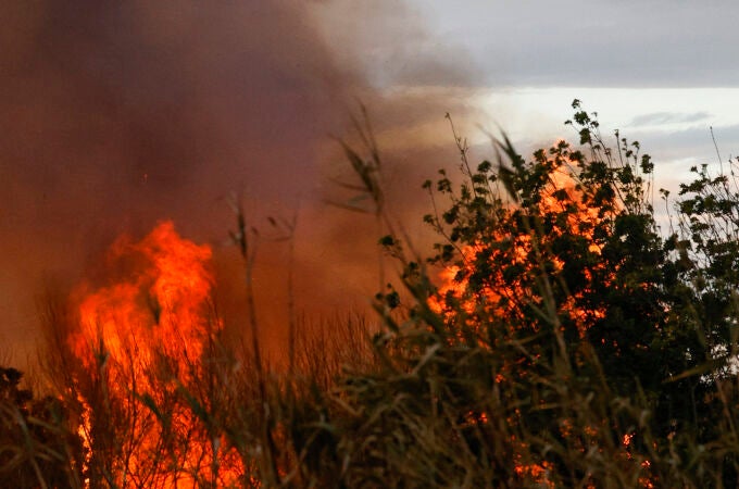 Controlado el incendio forestal de Riba-roja