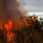 Controlado el incendio forestal de Riba-roja