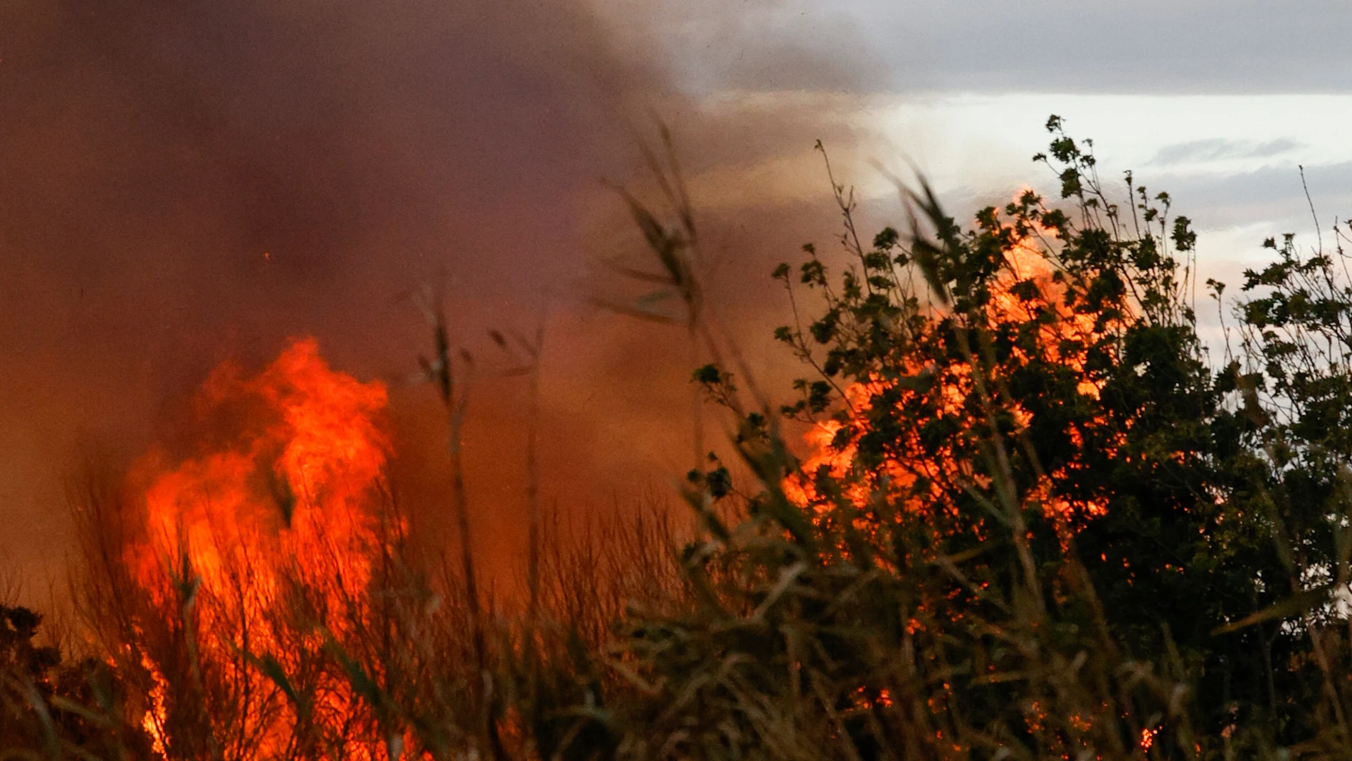 -FOTODELDÍA- RIBA-roja de Turia (Valencia), 25/04/2024.- Medios aéreos y terrestres intentan controlar el incendio forestal declarado la tarde de este jueves en una zona junto al cauce del río en Riba-roja de Túria (Valencia), que ha obligado a decretar la situación 1 del plan especial por proximidad a bienes no forestales. EFE / Kai Forsterling.