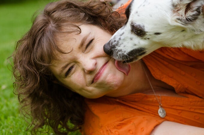 Los perros tienden a mostrar su cariño y afecto a los humanos lamiendo su cara o manos, pero esto puede ser peligroso
