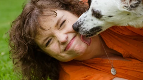 Los perros tienden a mostrar su cariño y afecto a los humanos lamiendo su cara o manos, pero esto puede ser peligroso