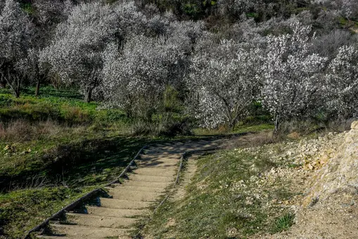 Naturaleza y sabor a primavera en la Ruta del Vino de Rueda 