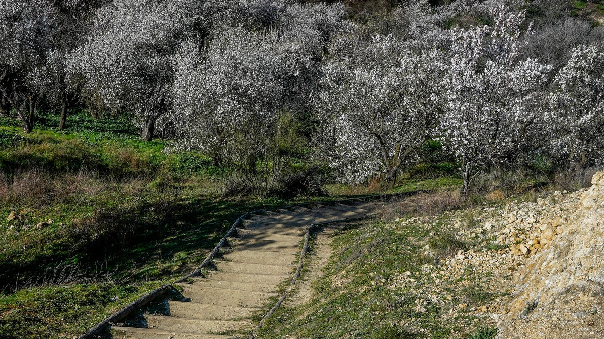 Naturaleza y sabor a primavera en la Ruta del Vino de Rueda