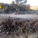El fuego se originó al descontrolarse una quema de restos de poda vegetal de ramas de almendro, tras abandonar el lugar el responsable de la quema