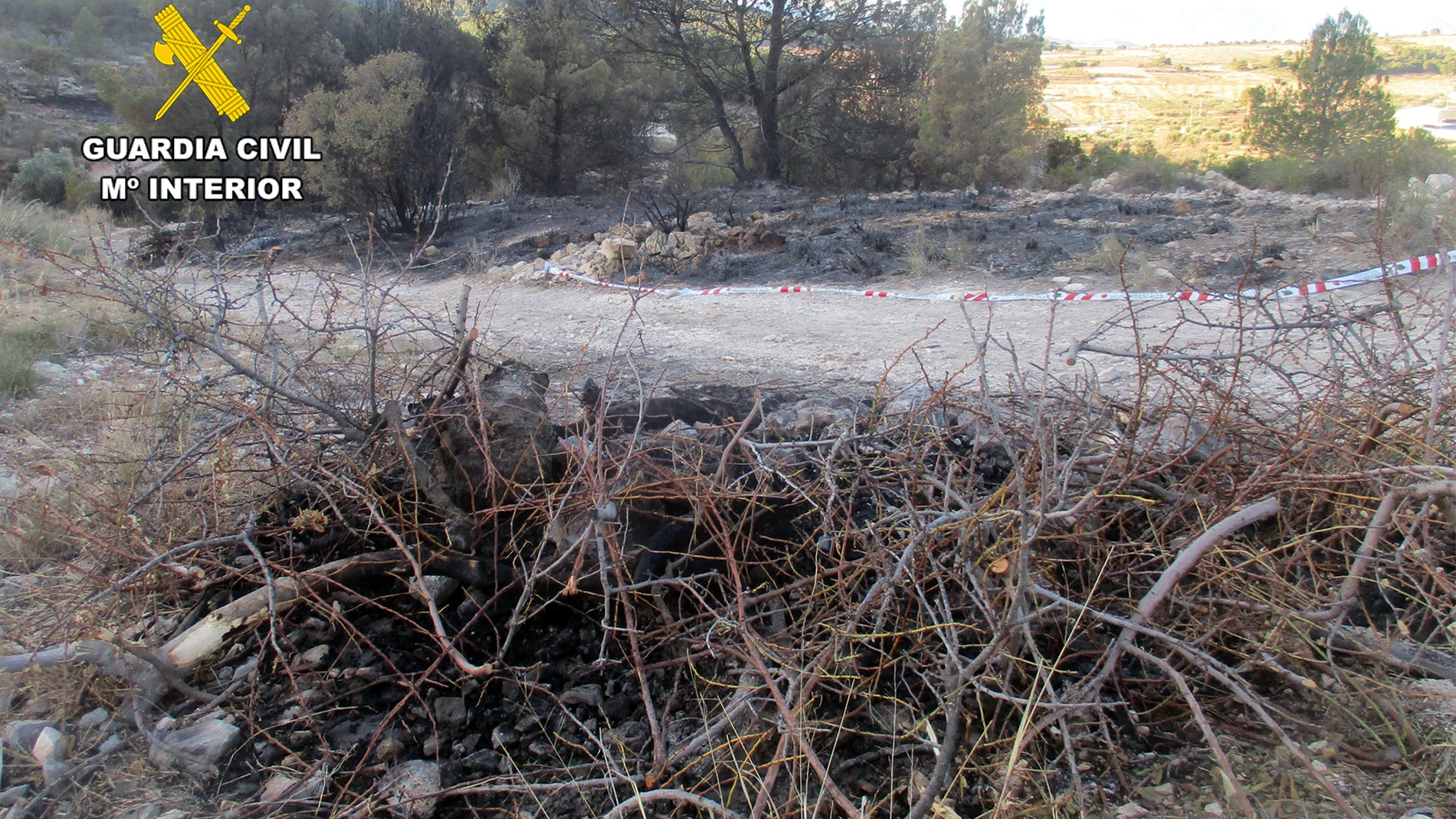 El fuego se originó al descontrolarse una quema de restos de poda vegetal de ramas de almendro, tras abandonar el lugar el responsable de la quema