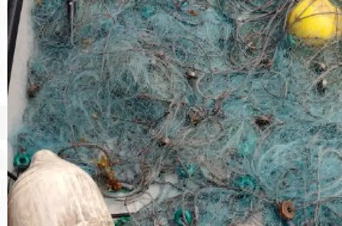 La Guardia Civil de Tenerife extrae del mar 400 metros de redes de pesca ilegales