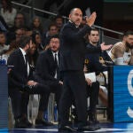 Chus Mateo, entrenador del Real Madrid