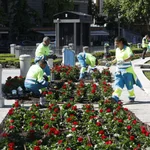 Madrid florece en primavera (con ayuda del Ayuntamiento)