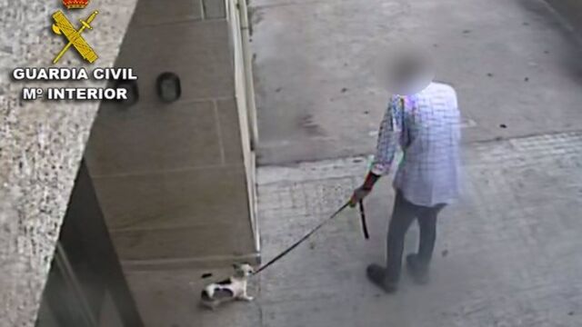 El hombre queda también inhabilitado durante tres años para ejercer profesión o actividad relacionada con animales. 