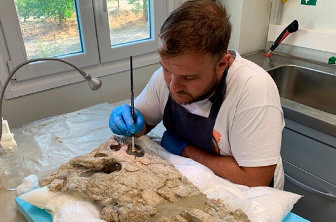 Preparación del cráneo de Asiatosuchus oenotriensis,a cargo de Javier Fernández Martínez/GBE-UNED