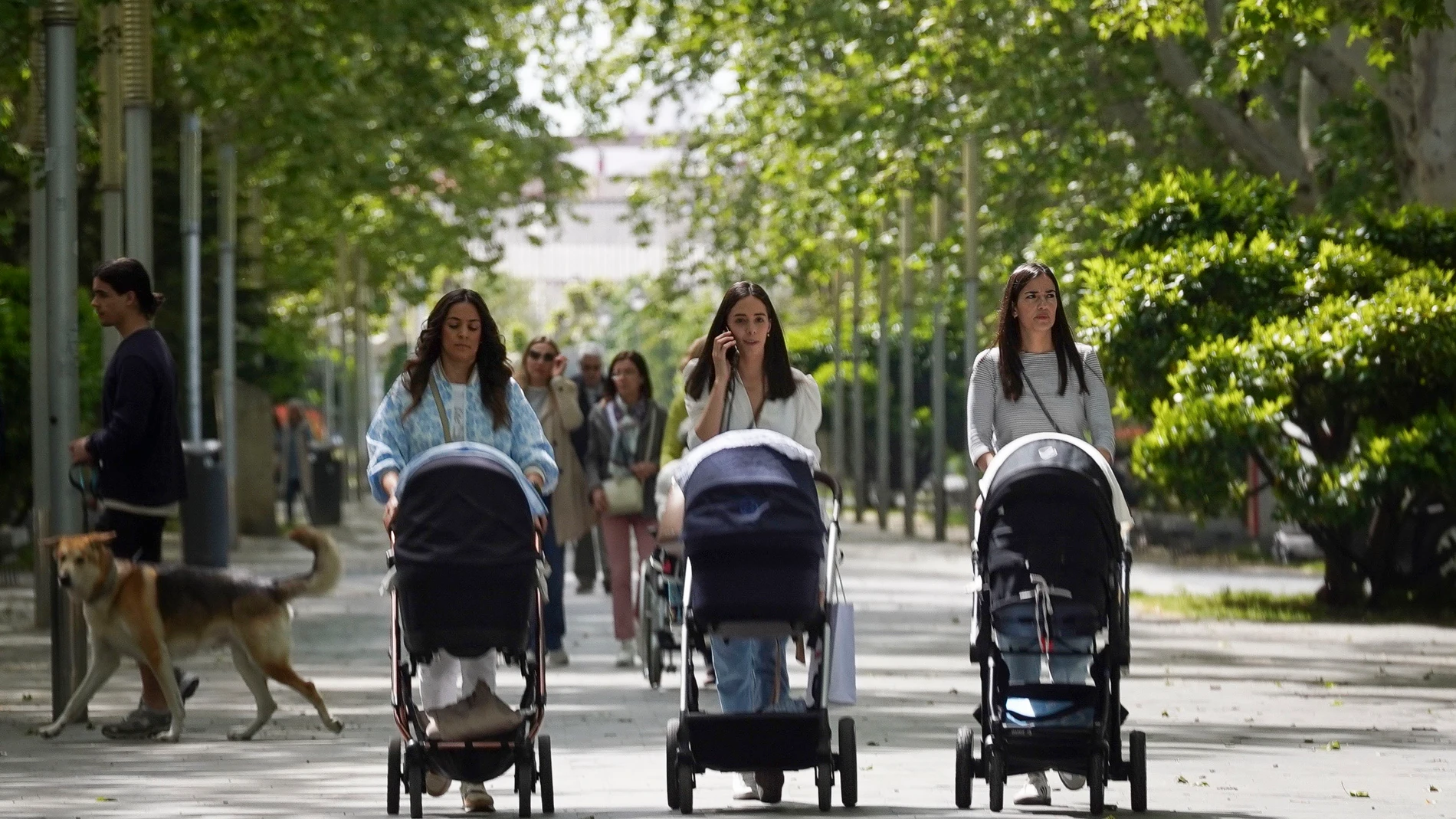 Tres mujeres pasean con carritos de bebé este jueves en Valladolid