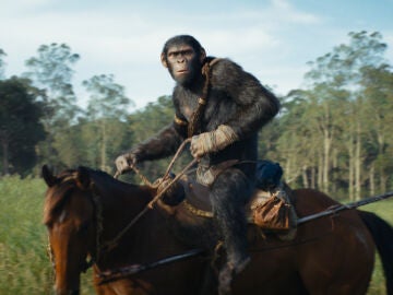Política, primates y prodigio técnico: el éxito inesperado de "El reino del planeta de los simios"