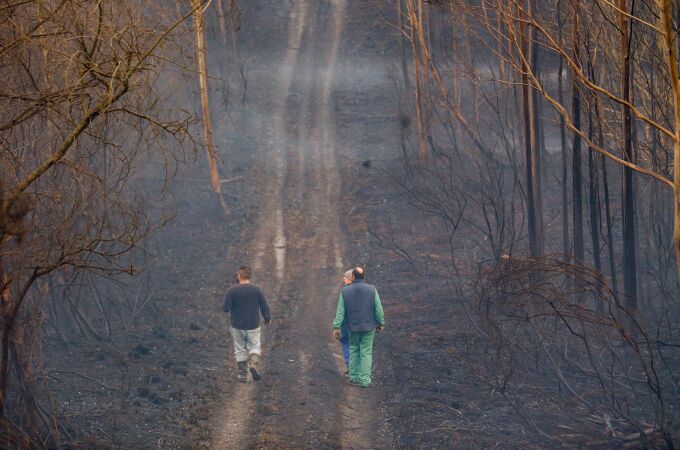 Unas personas caminan por un bosque calcinado tras un incendio forestal, una de las causas de pérdida de biodiversidad