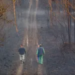 Unas personas caminan por un bosque calcinado tras un incendio forestal, una de las causas de pérdida de biodiversidad