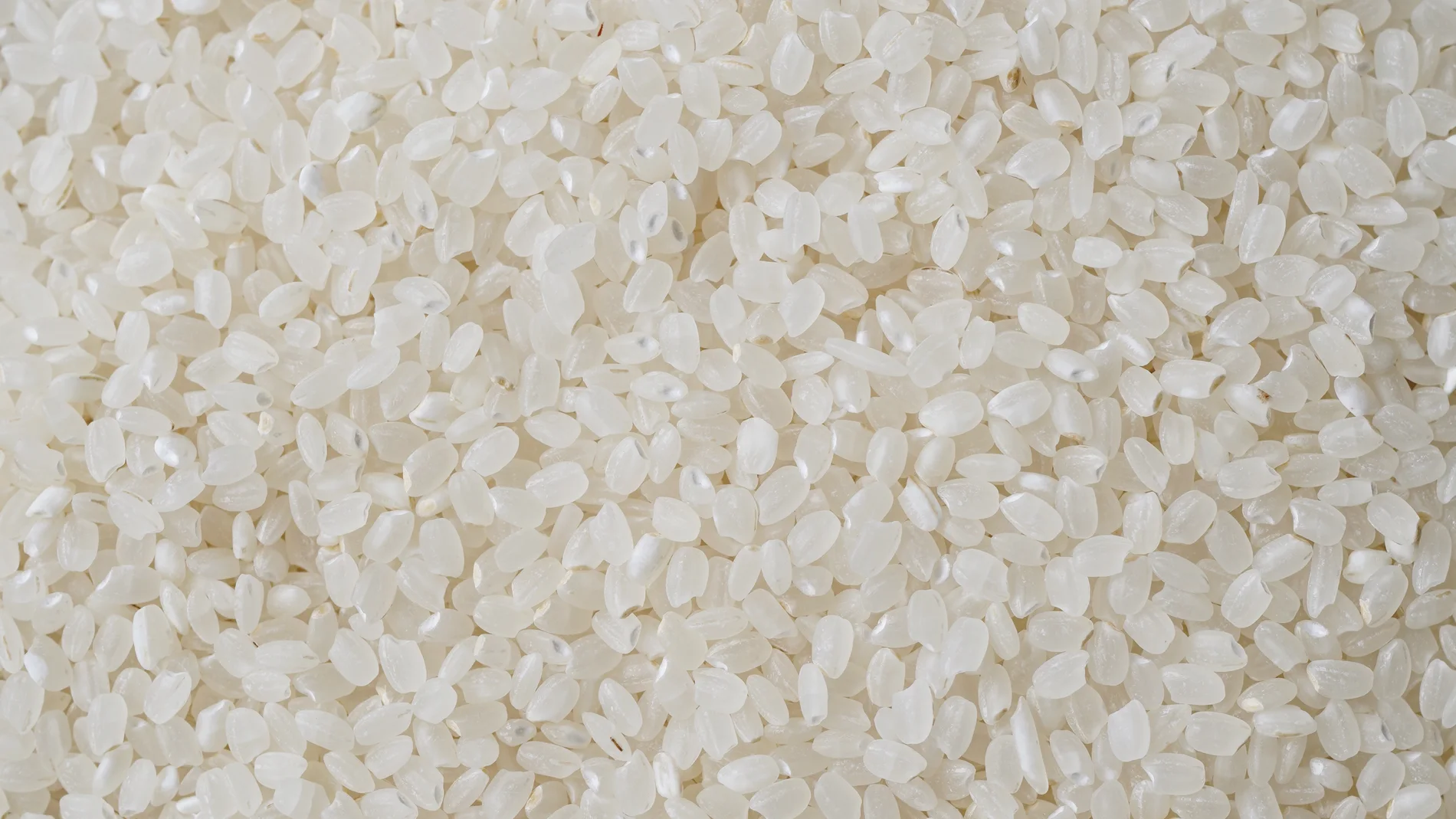Arroz perfecto