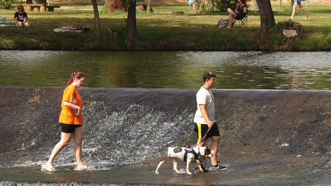 Una pareja pasea con su perro junto al río Águeda, en Ciudad Rodrigo (Salamanca)