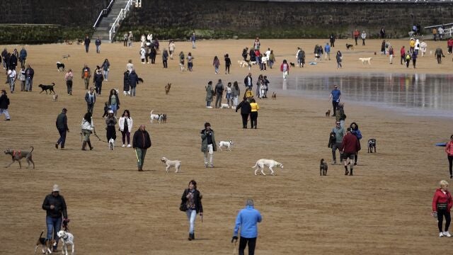 Decenas de personas pasean con sus perros en la playa de San Lorenzo de Gijón 