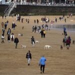 Decenas de personas pasean con sus perros en la playa de San Lorenzo de Gijón 
