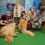 El 12 de Octubre y la ayuda de los perros con niños con tumores cerebrales para su recuperación