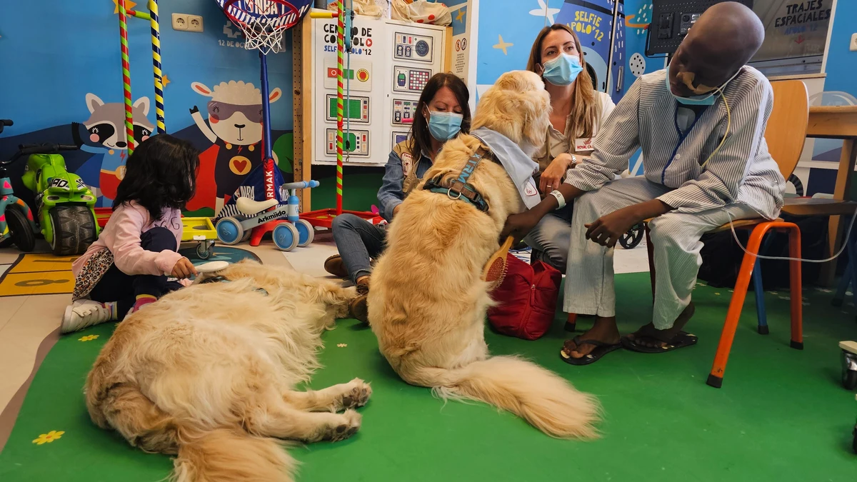 El 12 de Octubre de Madrid extiende las intervenciones asistidas con perros a niños con tumores cerebrales
