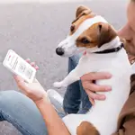 Smile Seguros lanza smile.dog, su segundo producto en España