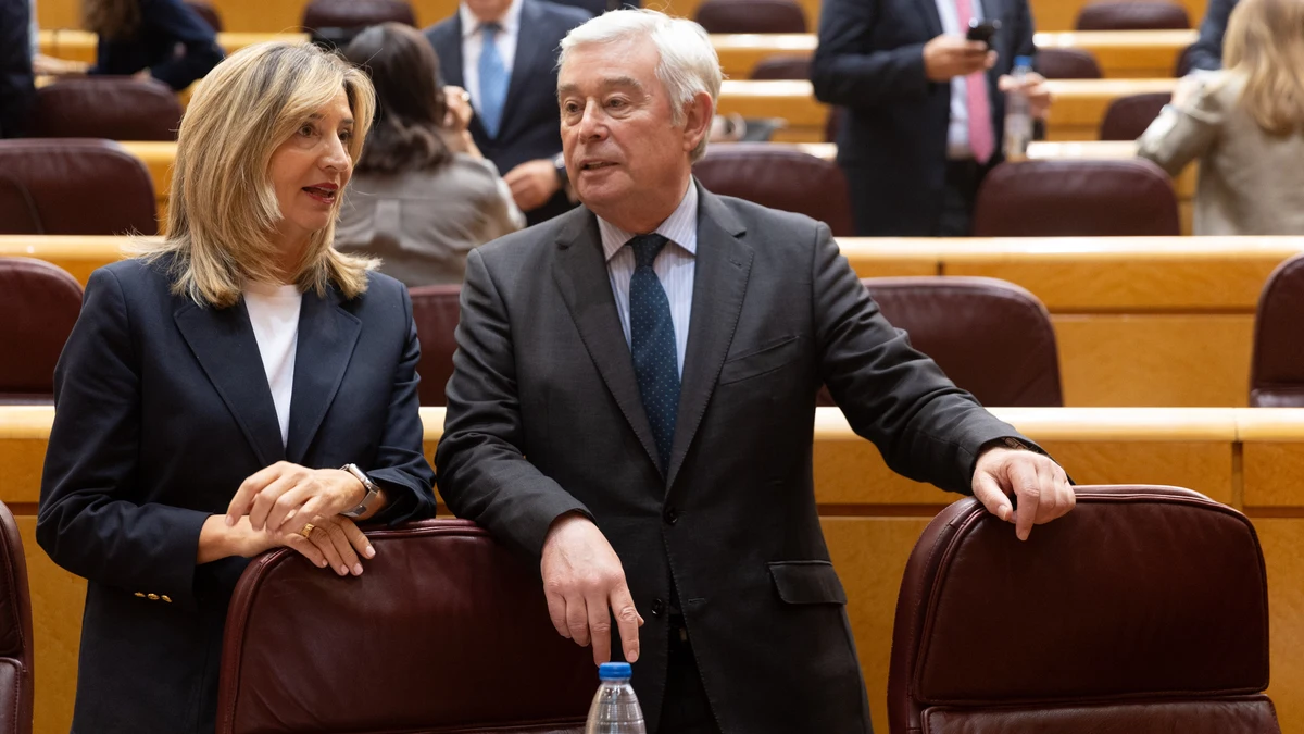 El Senado veta la amnistía, pero el PSOE y los separatistas podrán aprobarla en el Congreso a finales de mayo