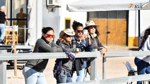 Equipo de Villa Equus