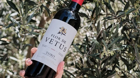 Bodegas Vetus reivindica con sus vinos la autenticidad y el potencial de una región con una rica historia vinícola y humana