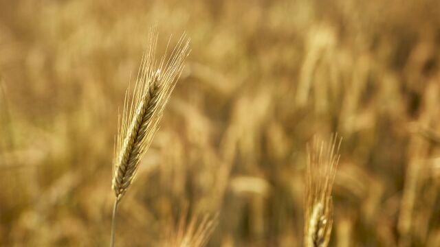 España habrá agotado todos los recursos naturales que le corresponden para este año el próximo lunes