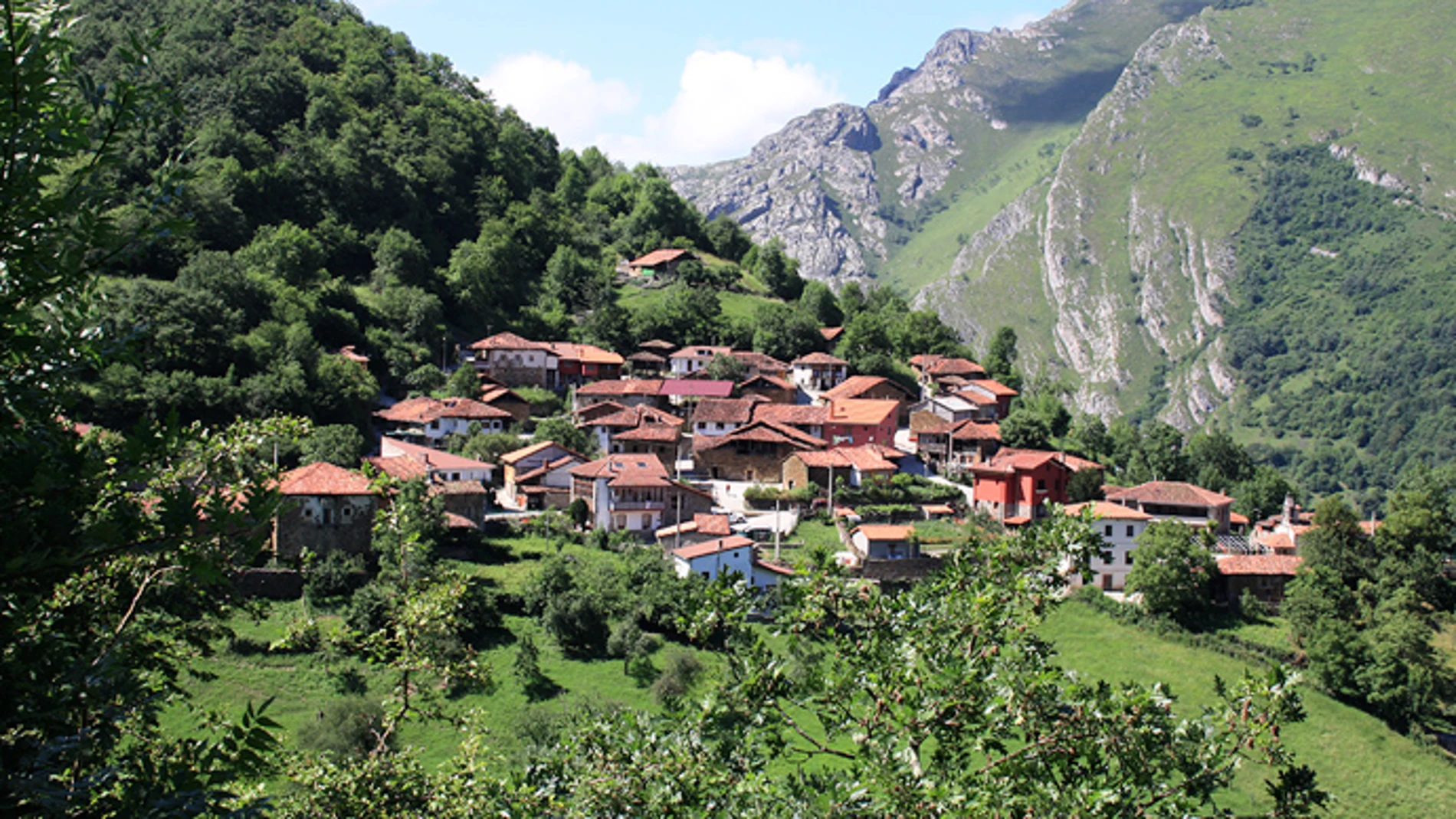 Abiegos Asturias