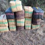 Reciben a tiros a la Guardia Civil al abortar un alijo de hachís en la desembocadura del Guadalquivir