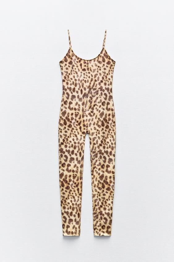 Mono de leopardo.
