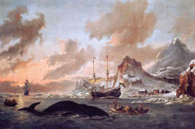 Prohibido matar vascos en Islandia