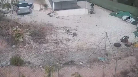 Los vecinos enviaron a la Policía Local el vídeo del maltrato