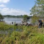 Descubren una nueva especie invasora en la Península Ibérica en el embalse de Cecebre (La Coruña)