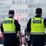 Arrojan un jabalí muerto contra la fachada de una mezquita en Suecia