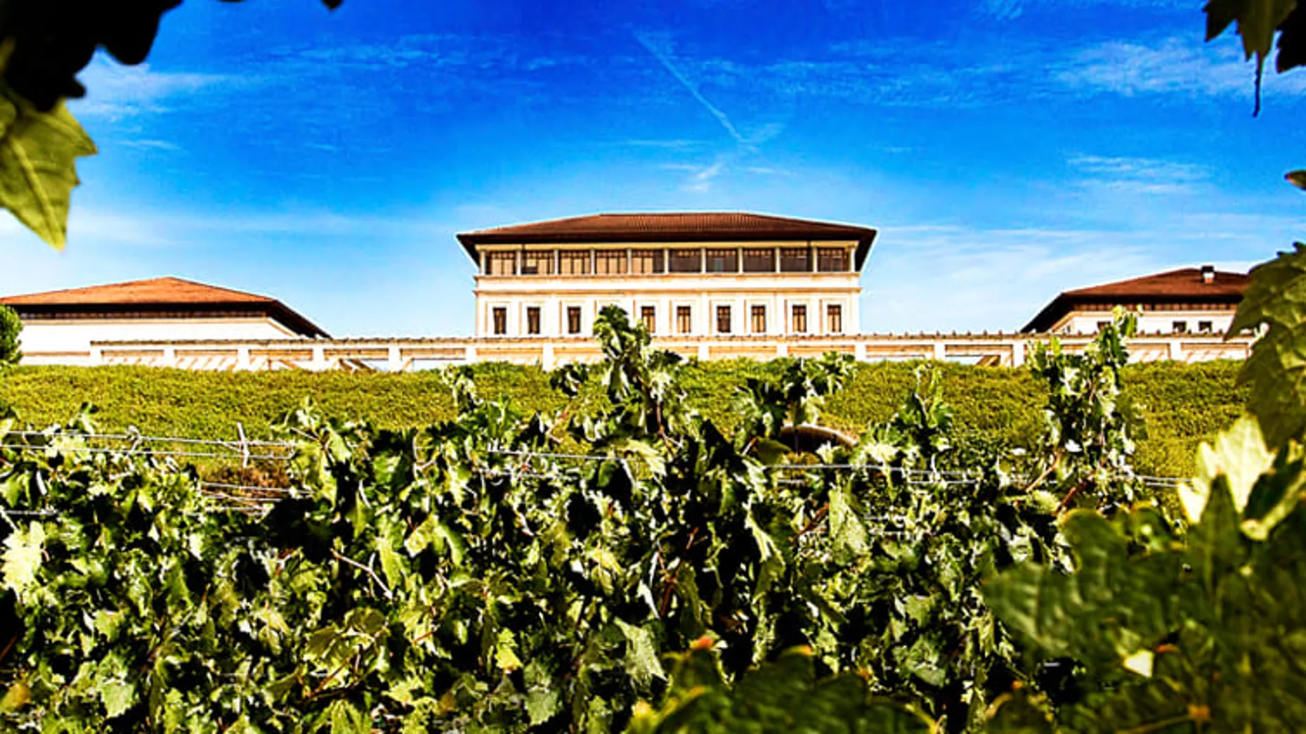 Siglo y medio de pasión vinícola en el corazón de La Rioja