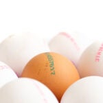 Nuevo etiquetado en los huevos