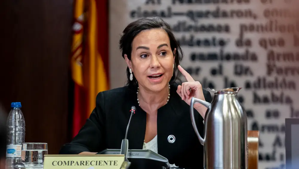 Isabel Pardo de Vera comparece ante la Comisión de Investigación sobre el ‘caso Koldo’ en el Senado