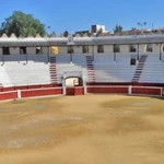 La localidad de Ondara (Alicante) volverá a celebrar festejos taurinos