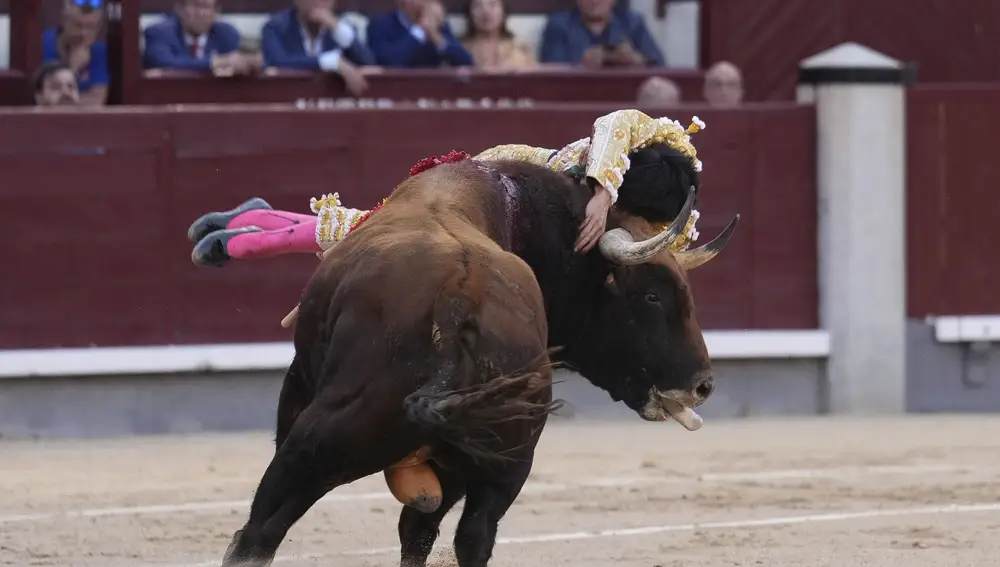 El diestro Francisco José Espada sufre una cogida en la faena a su segundo toro durante la corrida de la Feria de San Isidro celebrada este domingo en la Plaza de Las Ventas.