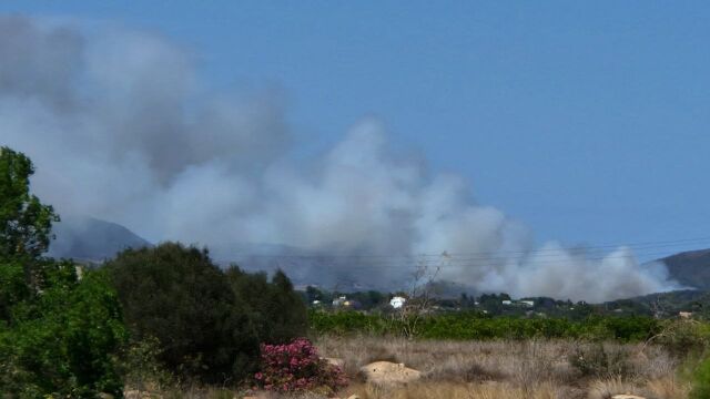 Un incendio forestal moviliza varios medios aéreos en Sagunto (Valencia)