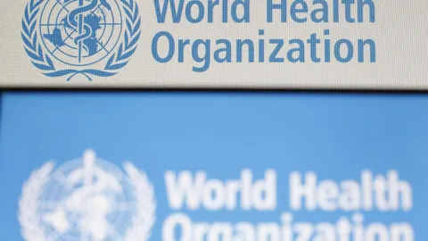 La OMS registra en México la primera muerte humana por gripe aviar en el mundo