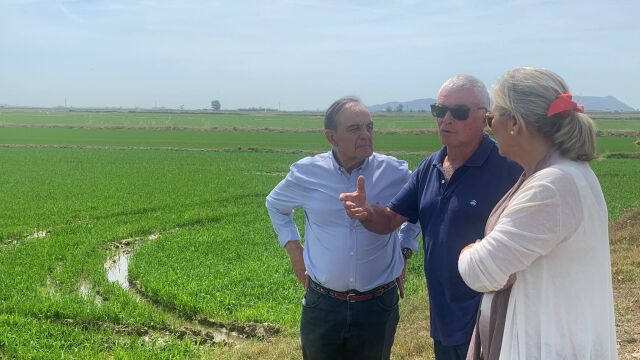 Ciudadanos apoya la declaración de l'Albufera como Reserva de la Biosfera