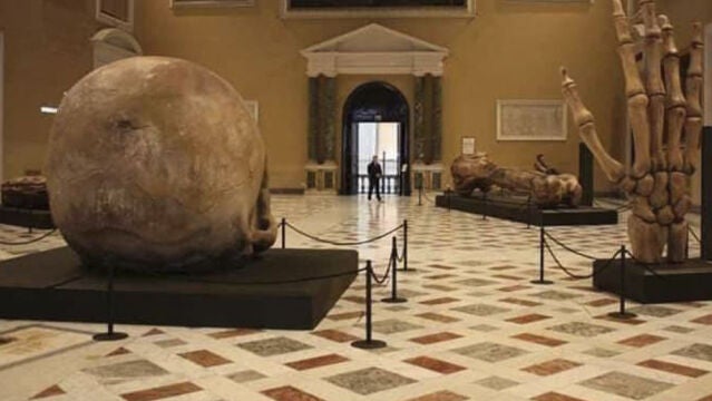 Exposición dedicada a un gigante en Nápoles