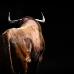 Estos son los serios toros de Garcigrande y El Pilar para la Corrida de Beneficencia