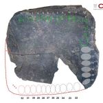 El CSIC investiga un abecedario hallado en la tablilla de pizarra de origen tartéisco