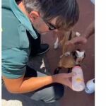 Un agente da el biberón al cabrito
