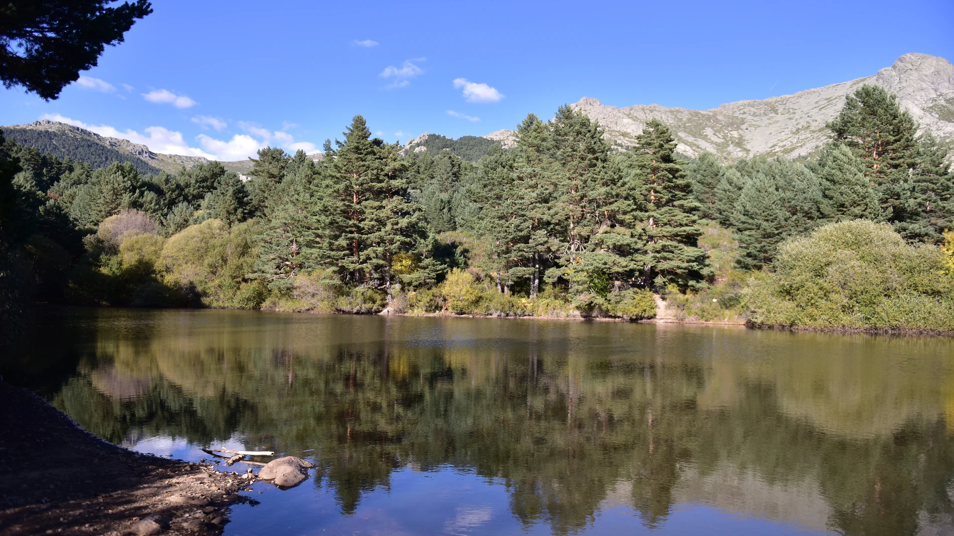 CAMINO DE MADRID, NAVACERRADA ©NACHO ARIAS_2022